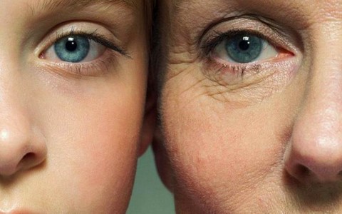 Геронтология —  наука приближает молодость